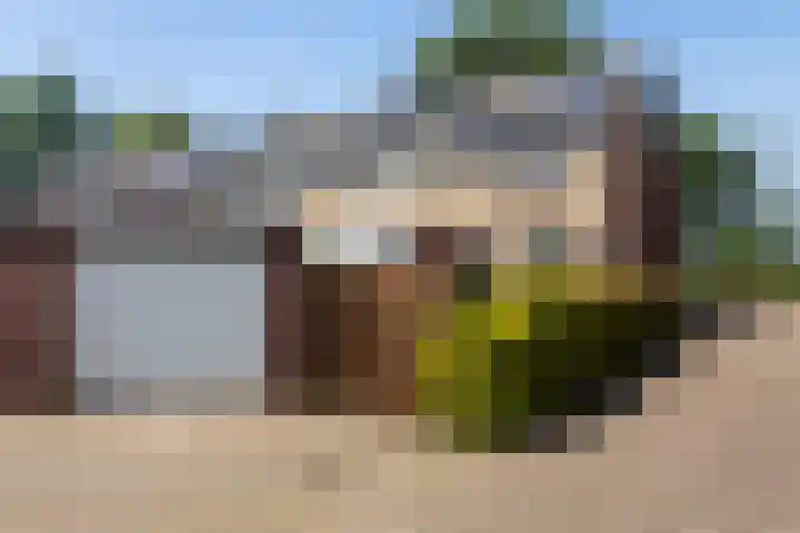 Burg Henrylaan 70 Numansdorp thumbnail 25