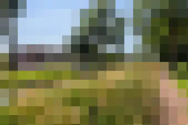 Burg Henrylaan 70 Numansdorp thumbnail 4