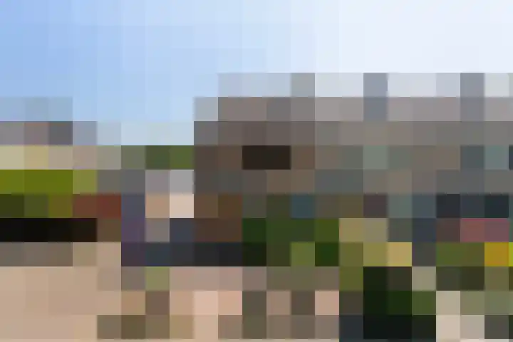 Burg Henrylaan 70 Numansdorp thumbnail 40