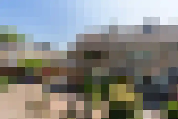 Burg Henrylaan 70 Numansdorp thumbnail 42