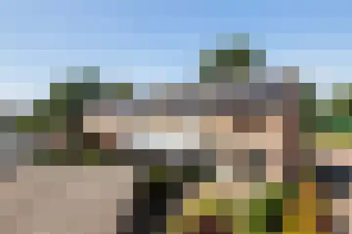 Burg Henrylaan 70 Numansdorp thumbnail 43