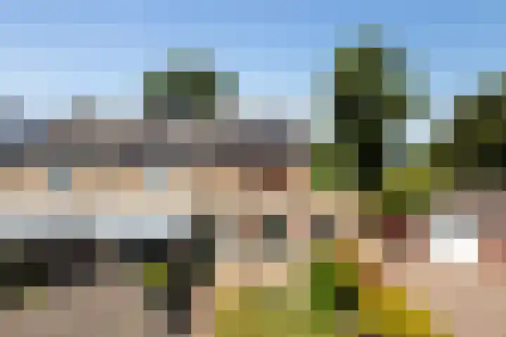 Burg Henrylaan 70 Numansdorp thumbnail 44