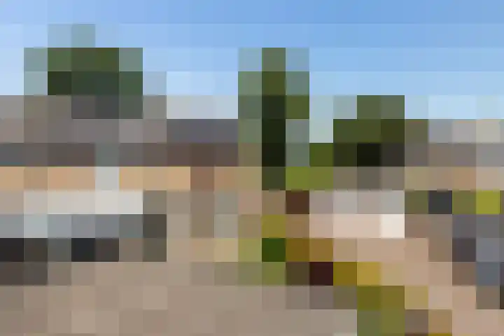 Burg Henrylaan 70 Numansdorp thumbnail 45