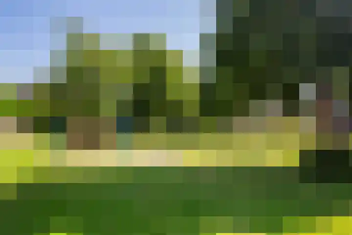 Burg Henrylaan 70 Numansdorp thumbnail 49