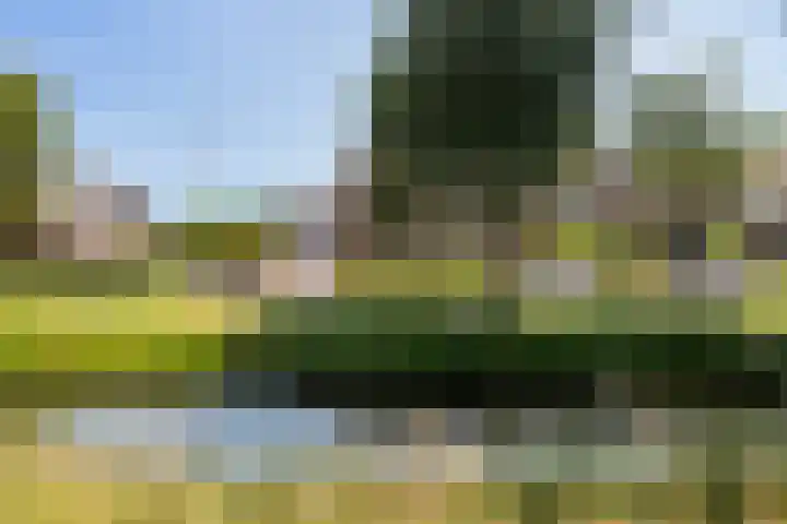 Burg Henrylaan 70 Numansdorp thumbnail 5