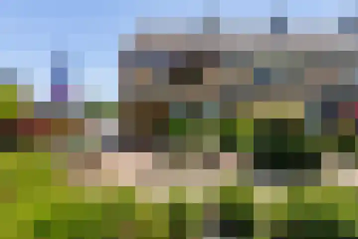 Burg Henrylaan 70 Numansdorp thumbnail 56