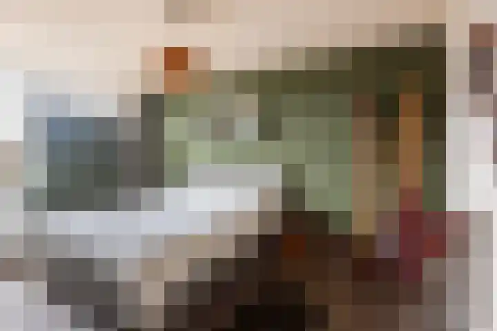 Burg Henrylaan 8 Numansdorp thumbnail 17