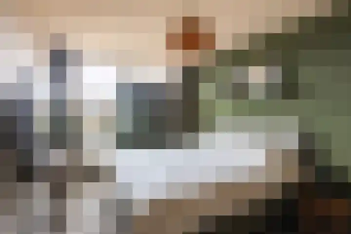 Burg Henrylaan 8 Numansdorp thumbnail 18