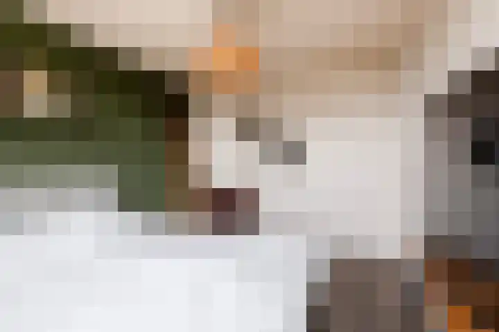 Burg Henrylaan 8 Numansdorp thumbnail 19