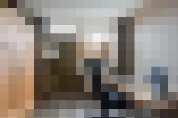 Burg Henrylaan 8 Numansdorp thumbnail 21