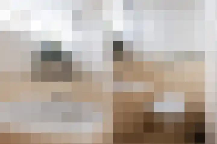 Burg Henrylaan 8 Numansdorp thumbnail 24