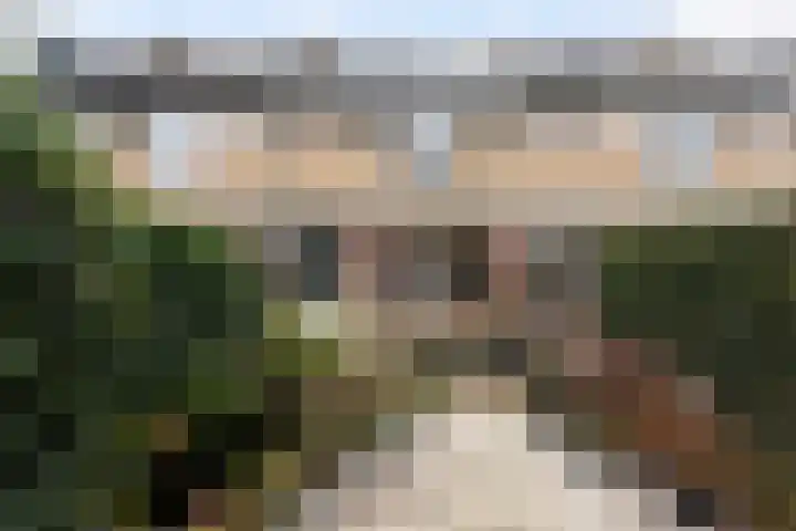 Burg Henrylaan 8 Numansdorp thumbnail 30