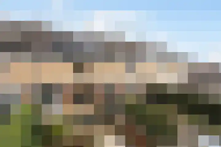 Burg Henrylaan 8 Numansdorp thumbnail 31