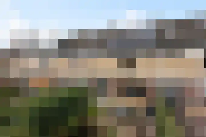 Burg Henrylaan 8 Numansdorp thumbnail 32