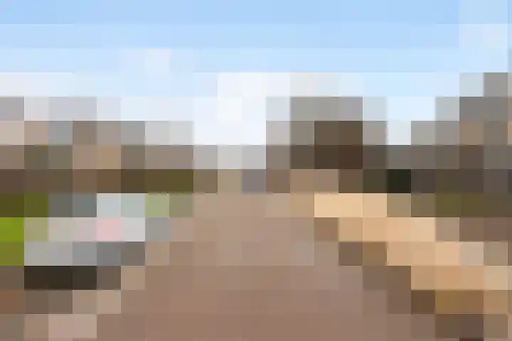 Burg Henrylaan 8 Numansdorp thumbnail 34