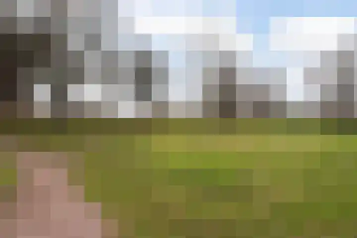 Burg Henrylaan 8 Numansdorp thumbnail 35