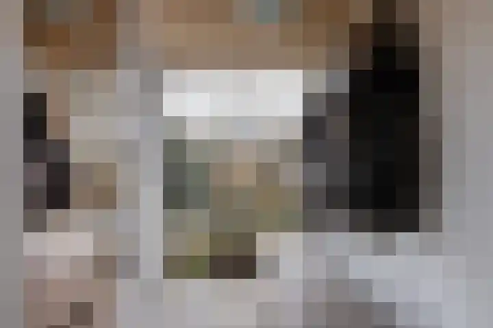 Burg Henrylaan 8 Numansdorp thumbnail 4