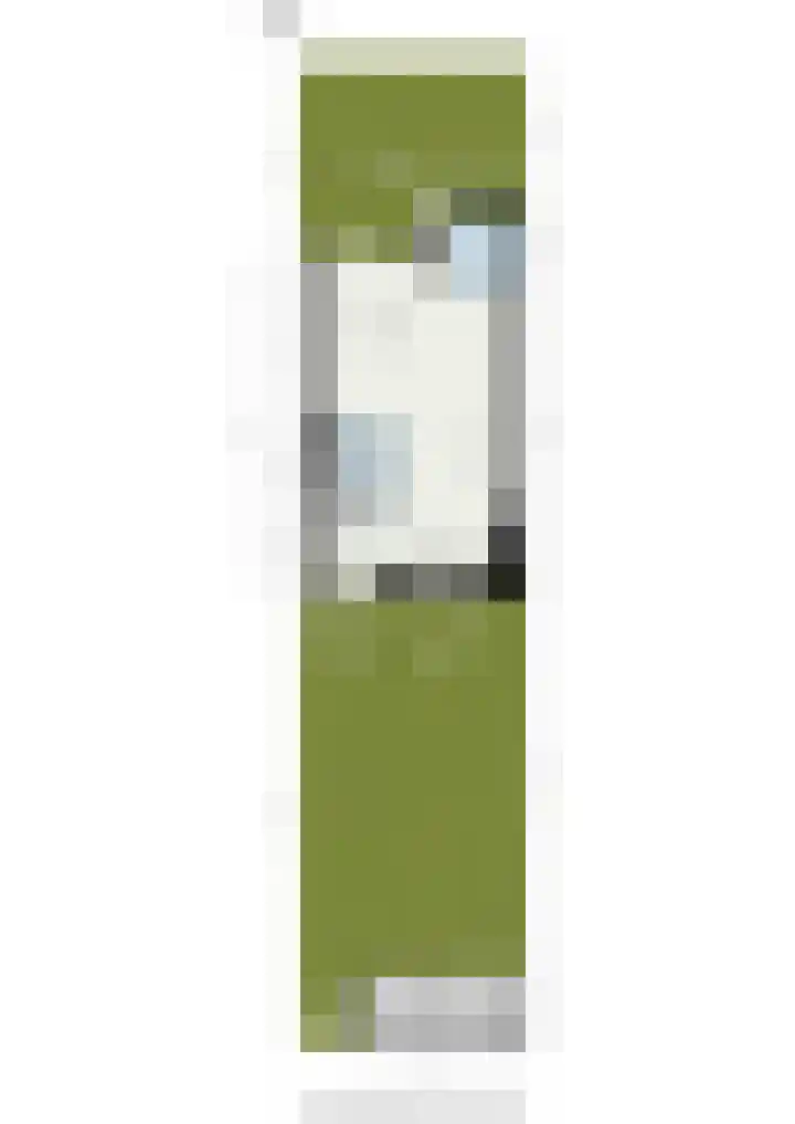 Burg Henrylaan 8 Numansdorp thumbnail 42