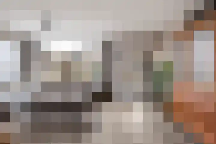 Burg Henrylaan 8 Numansdorp thumbnail 8