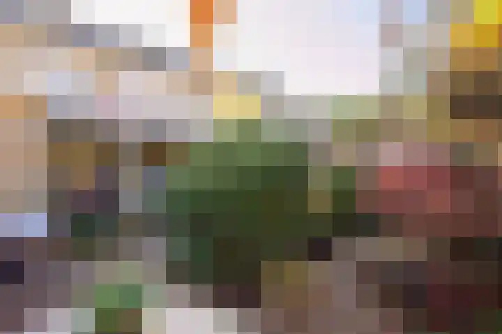 Burg Herckenrathlaan 22 Ammerzoden thumbnail 18