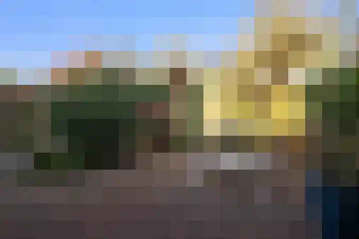 Burg Herckenrathlaan 22 Ammerzoden thumbnail 19