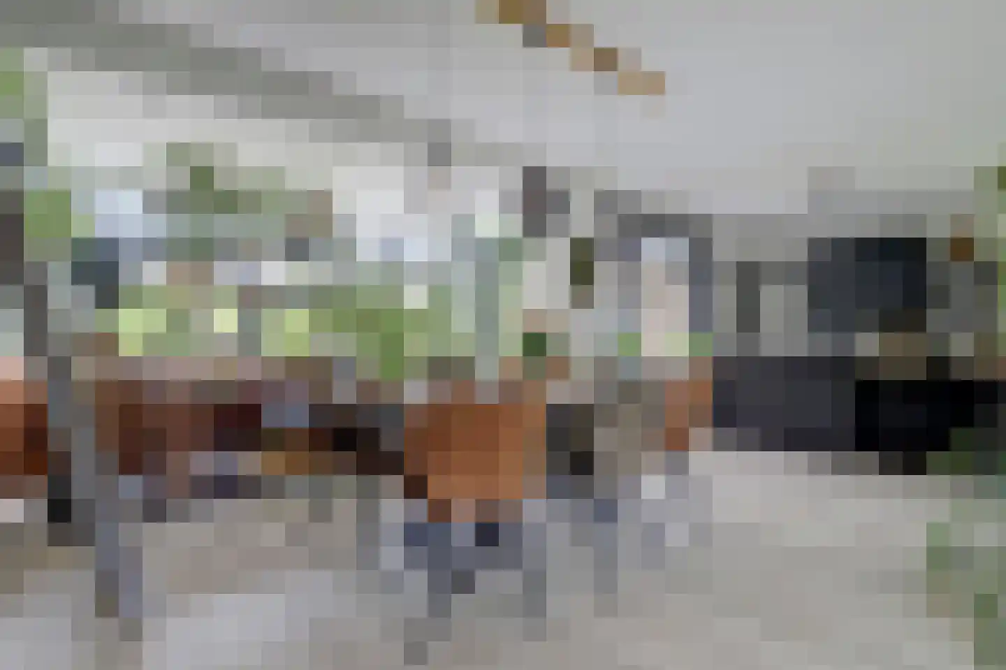 Burg Herckenrathlaan 31 Ammerzoden thumbnail 12