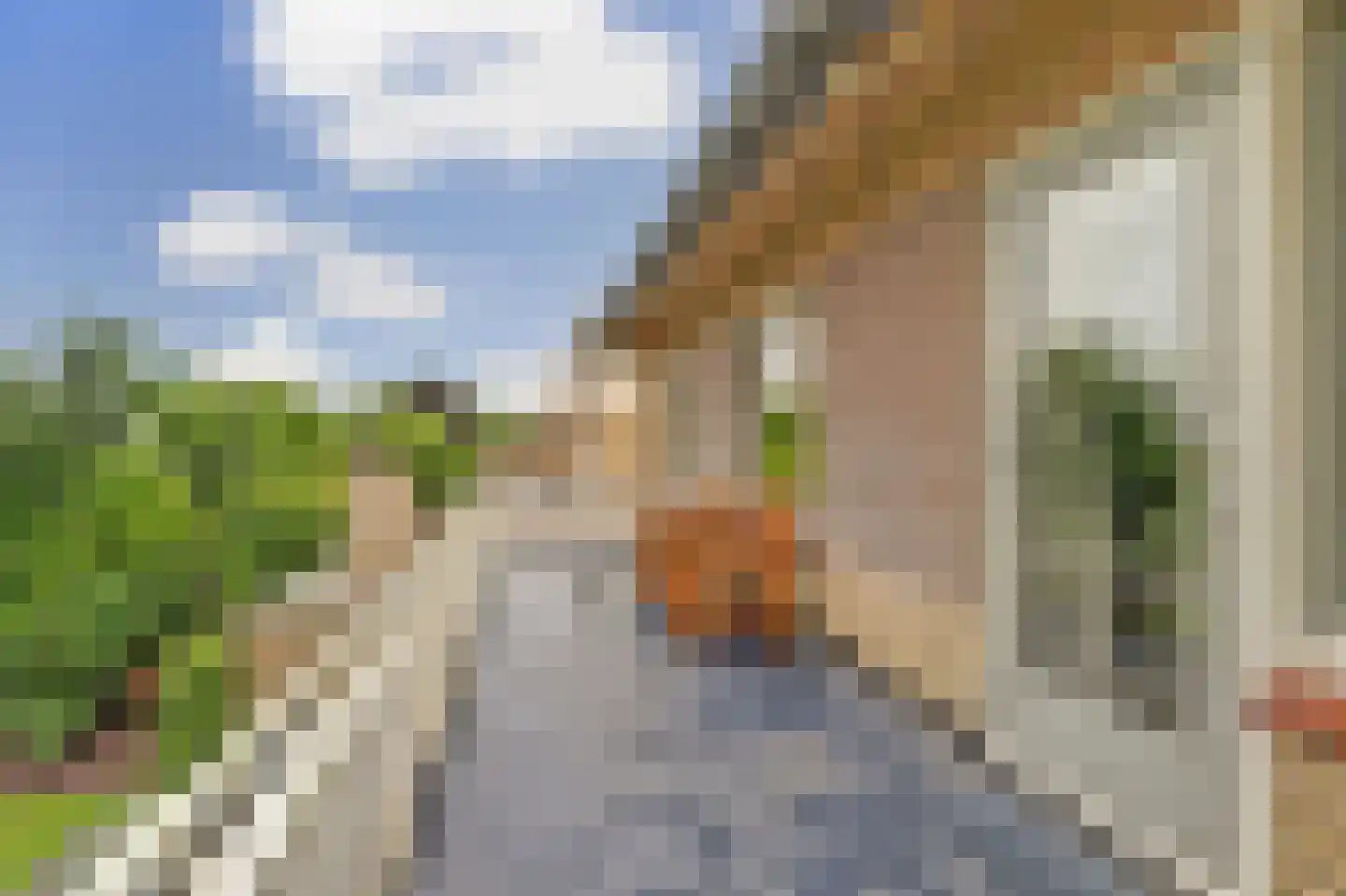 Burg Herckenrathlaan 31 Ammerzoden thumbnail 26