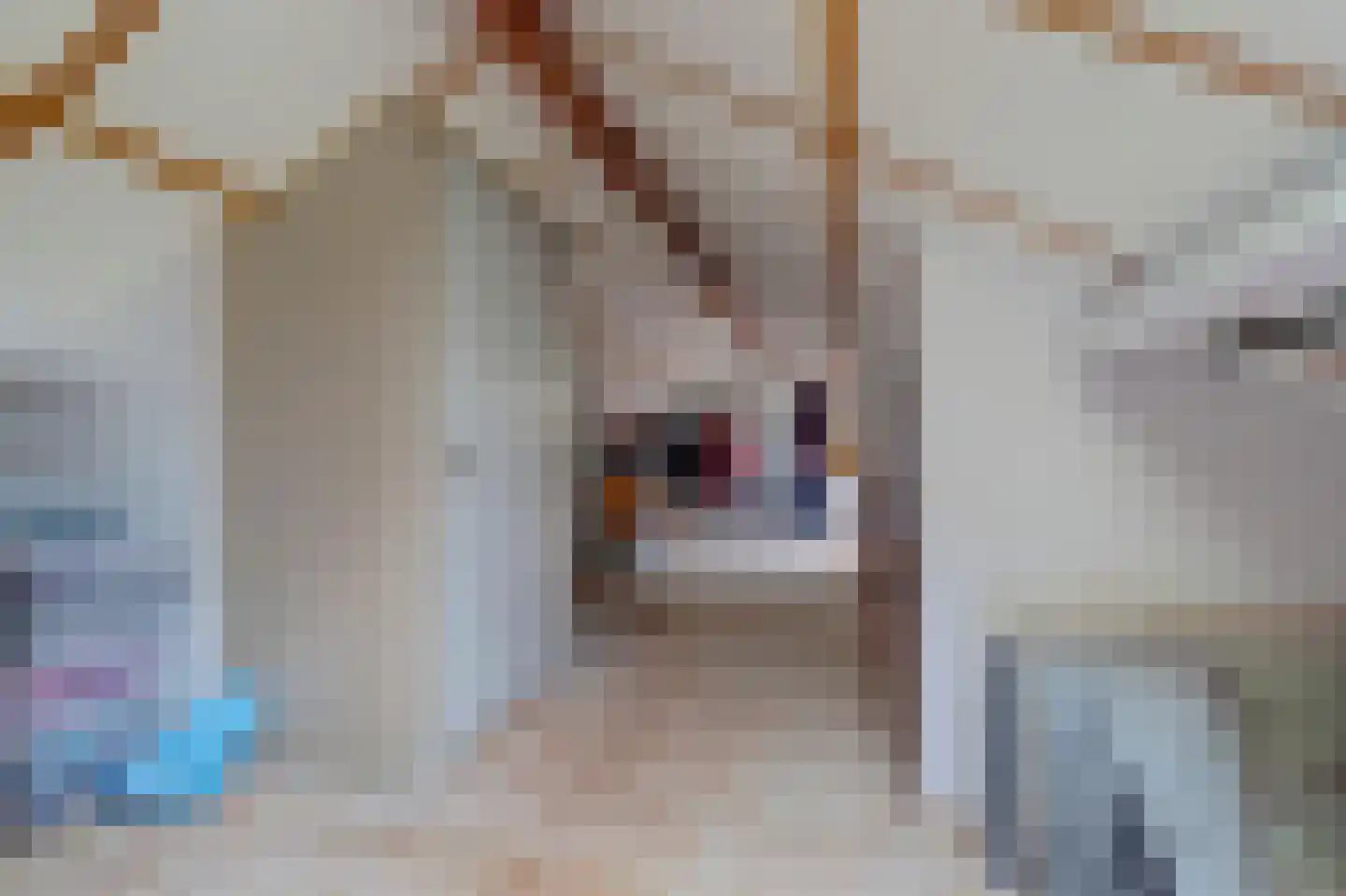 Burg Herckenrathlaan 31 Ammerzoden thumbnail 41