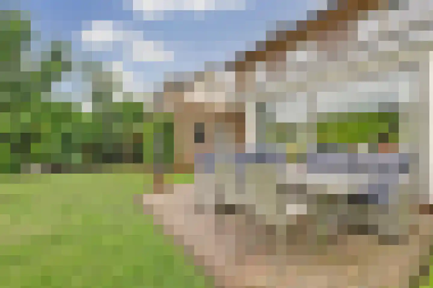 Burg Herckenrathlaan 31 Ammerzoden thumbnail 45