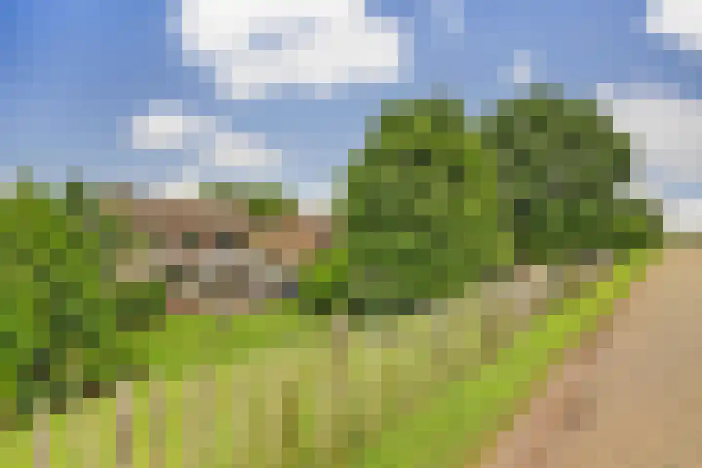 Burg Herckenrathlaan 31 Ammerzoden thumbnail 52