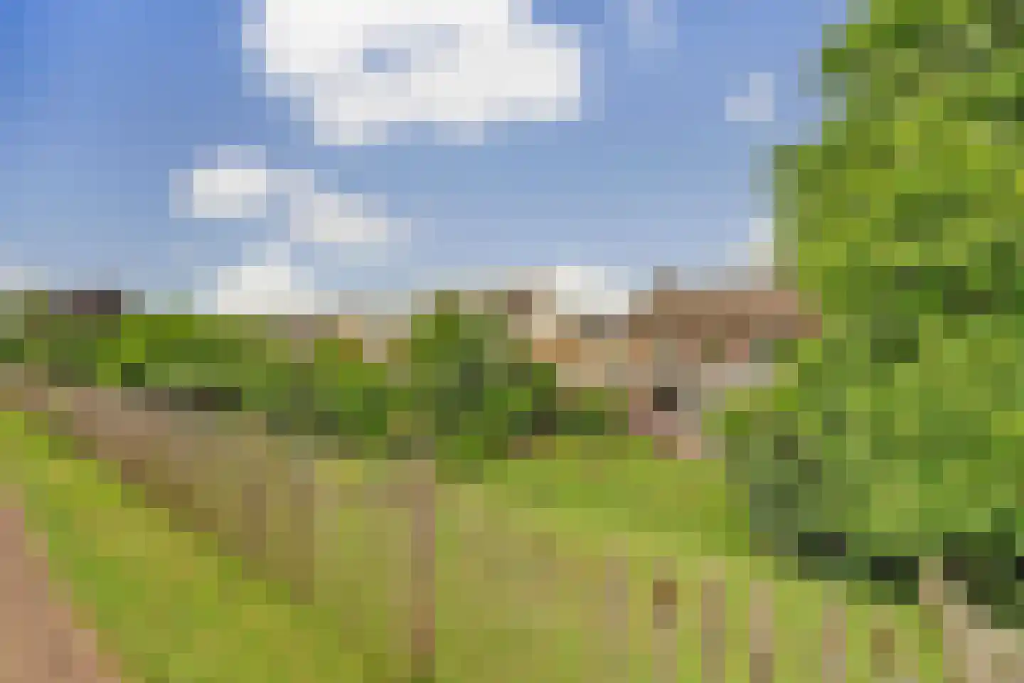 Burg Herckenrathlaan 31 Ammerzoden thumbnail 53