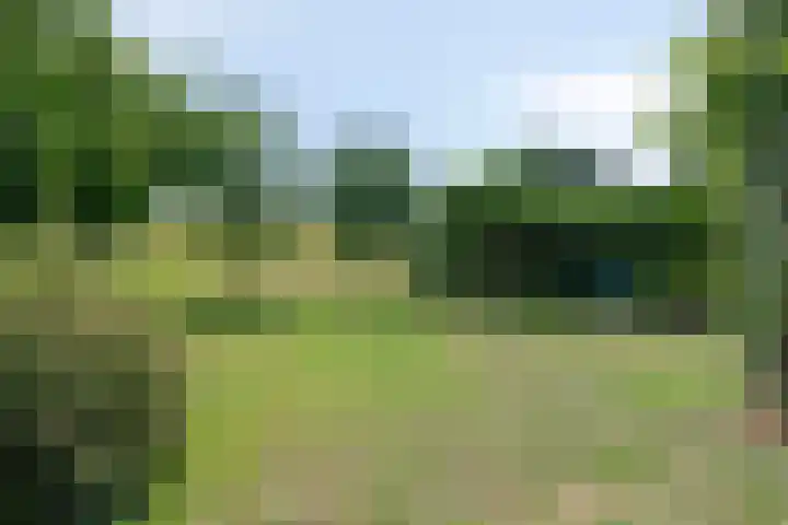 Burg Herckenrathlaan 37 Ammerzoden thumbnail 10
