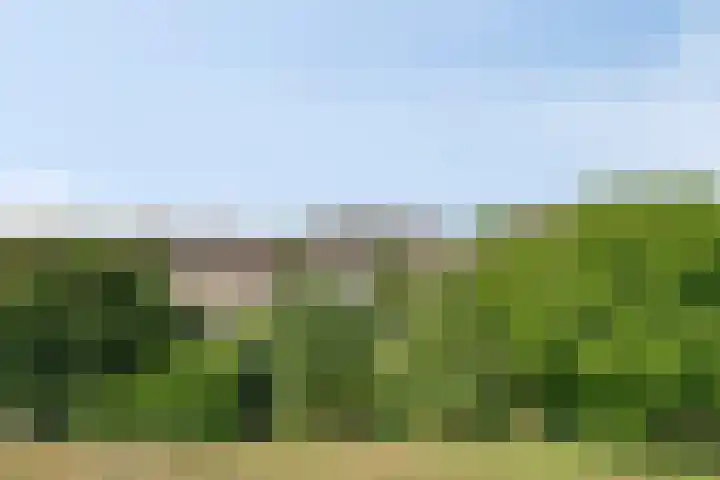 Burg Herckenrathlaan 37 Ammerzoden thumbnail 12