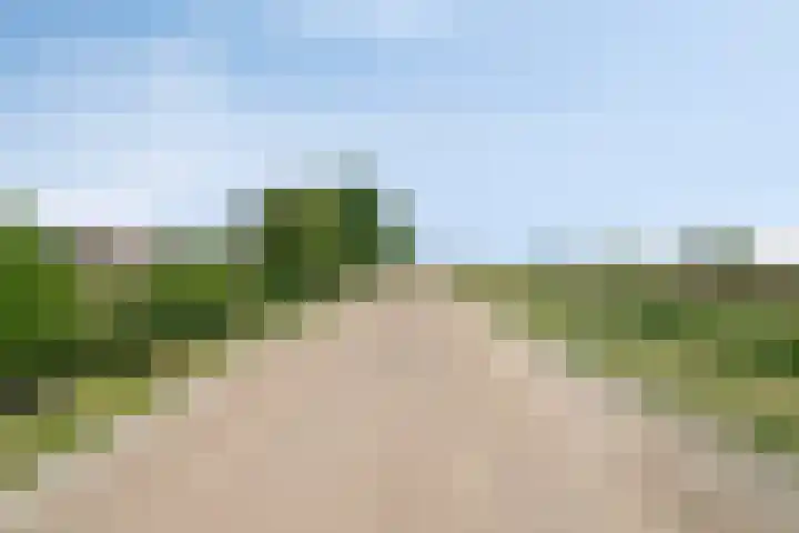 Burg Herckenrathlaan 37 Ammerzoden thumbnail 14