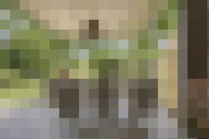 Burg Herckenrathlaan 37 Ammerzoden thumbnail 17