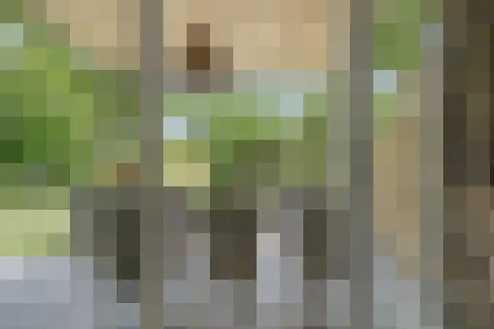 Burg Herckenrathlaan 37 Ammerzoden thumbnail 27