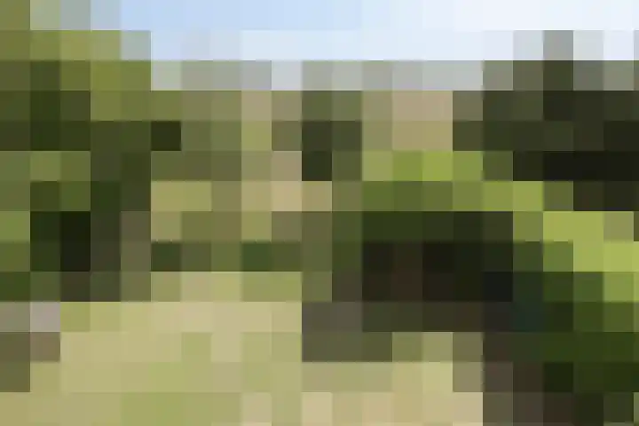 Burg Herckenrathlaan 37 Ammerzoden thumbnail 34