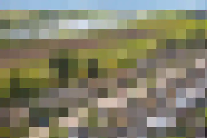 Burg Herckenrathlaan 37 Ammerzoden thumbnail 4
