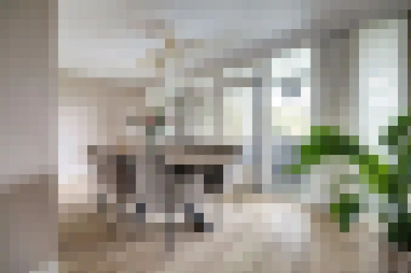 Burg Herckenrathlaan 41 Ammerzoden thumbnail 5