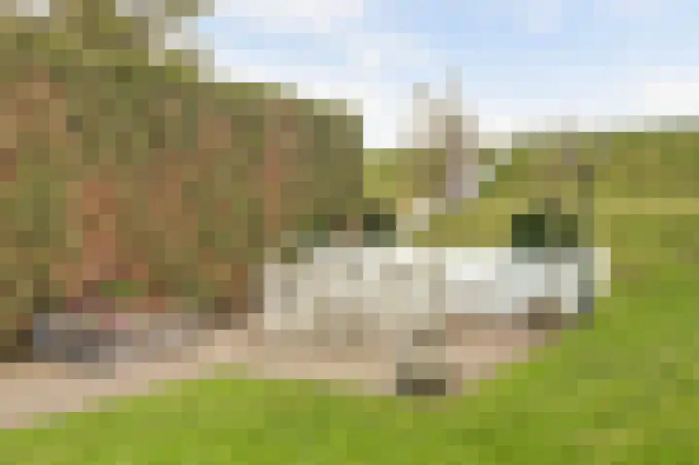 Burg Herckenrathlaan 41 Ammerzoden thumbnail 53