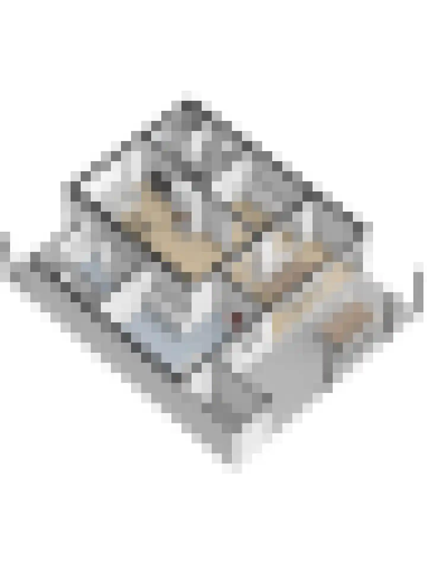 Burg Herckenrathlaan 41 Ammerzoden thumbnail 64