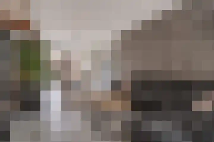 Burg Herckenrathlaan 6 Ammerzoden thumbnail 10