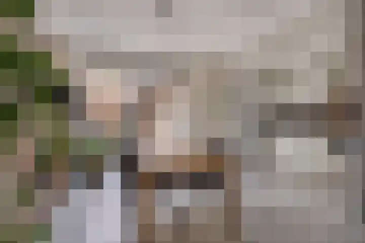 Burg Herckenrathlaan 6 Ammerzoden thumbnail 12
