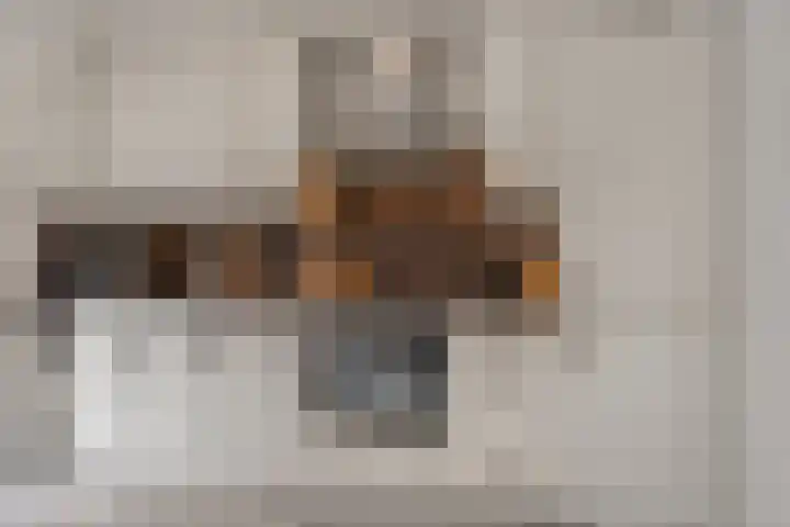 Burg Herckenrathlaan 6 Ammerzoden thumbnail 13