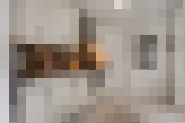 Burg Herckenrathlaan 6 Ammerzoden thumbnail 14