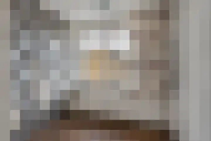 Burg Herckenrathlaan 6 Ammerzoden thumbnail 16