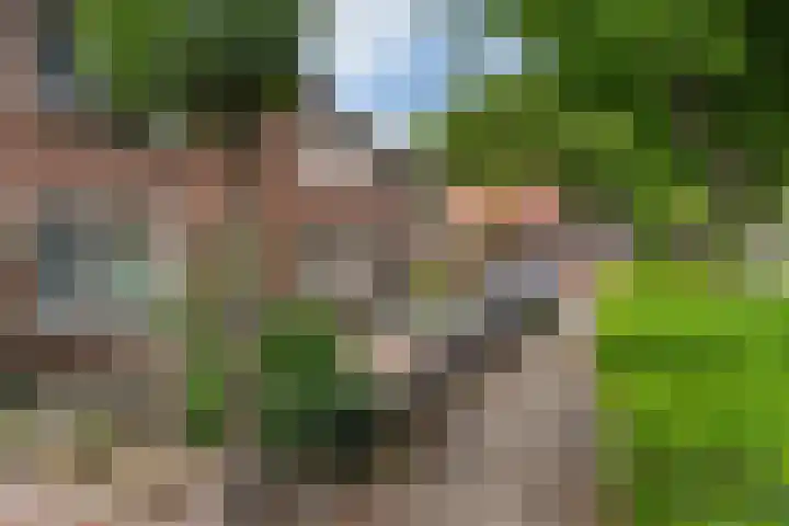 Burg Herckenrathlaan 6 Ammerzoden thumbnail 31