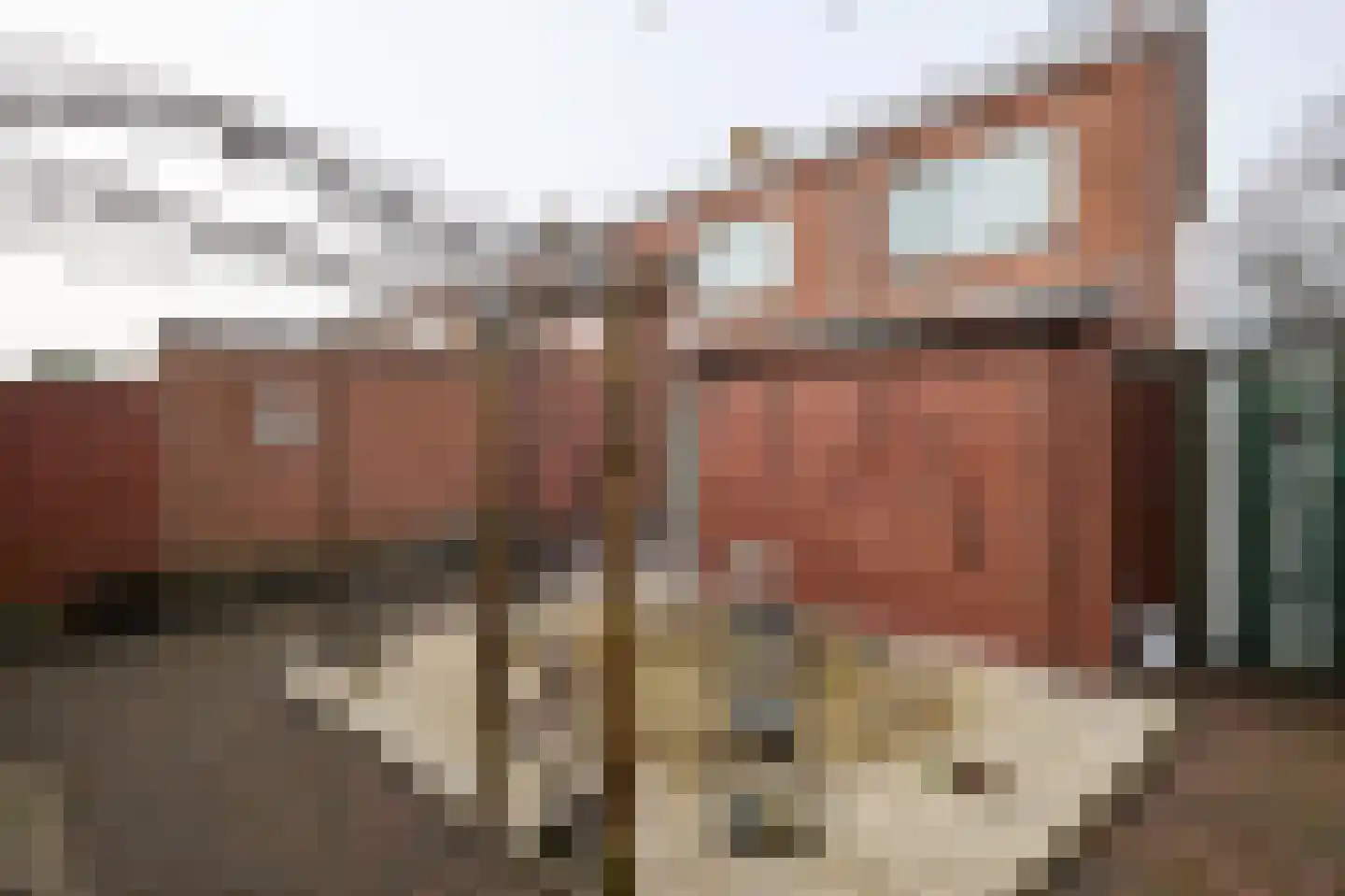 Burg Hoefnagelsstraat 72 Sas van Gent thumbnail 13