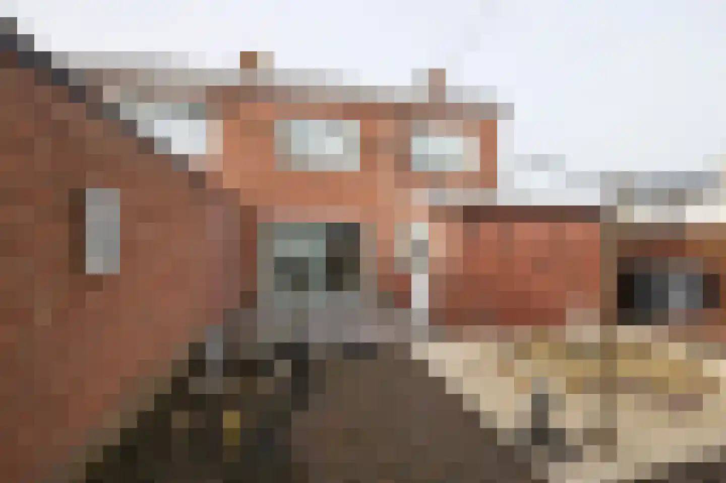 Burg Hoefnagelsstraat 72 Sas van Gent thumbnail 4