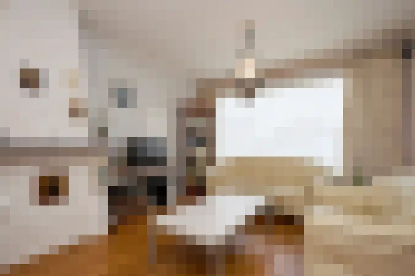 Burg Hoefnagelsstraat 72 Sas van Gent thumbnail 6